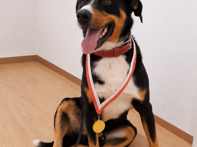 🎉 Unser Leo hat’s geschafft! 🐾💙