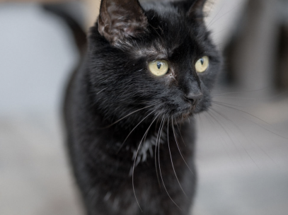Zoe